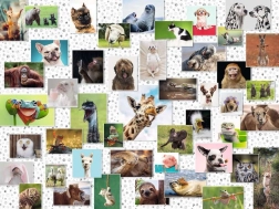 Puzzle Animaux joyeux 1500 pièces Ravensburger