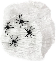 Décoration toile d’araignée pour Halloween