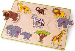 Puzzle incursion Safari