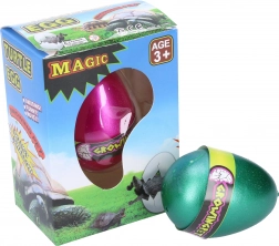 Tortue qui grandit dans un œuf