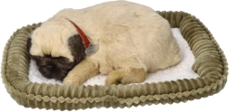 Perfect Petzzz chiot carlin qui respire