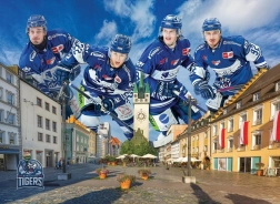 Puzzle STRAUBING TIGERS 1000 pièces par EUROGRAPHICS