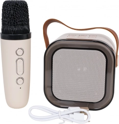 Ensemble karaoké avec microphone sans fil et haut-parleur Bluetooth portable avec RGB