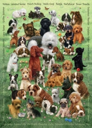 COBBLE HILL puzzle familial amour de chiots – 350 pièces