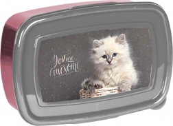 Paso boîte à goûter avec chaton 750 ml