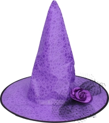 Set de carnaval chapeau de sorcière violet