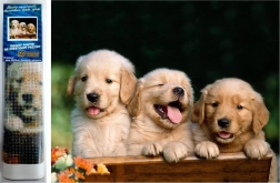 Mosaïque diamant - Trois chiens