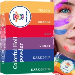 Poudre colorée Holi – lot de 6×100 g