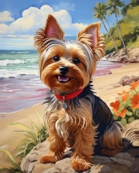 Norimpex Peinture par numéros Yorkshire à la plage 40 × 50 cm