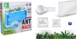 Ferme de fourmis avec gel nutritif