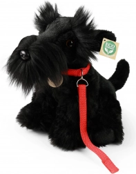 Rappa Chien en Peluche