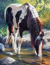 Peinture diamant Cheval dans la rivière 30x40 cm