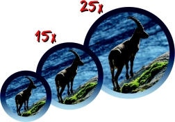 Télescope pour enfants avec trépied NAVIR – assortiment de couleurs