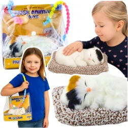 chaton endormi sur coussin avec fourrure douce et sons de miaulement dans une petite pochette de transport