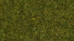 Herbe statique Noch prairie sauvage, 9 mm