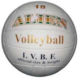 Ballon de volley Alien 22 cm