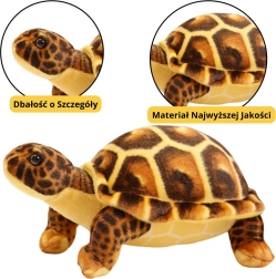 Tortue en peluche marron 25 cm