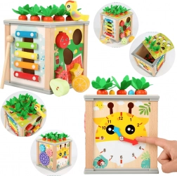 Cube éducatif en bois 5-en-1 pour enfants