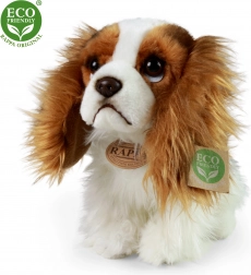 Chien en peluche King Charles Cavalier 25 cm