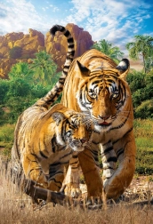 Puzzle Eurographics Save Our Planet – tigres XL 250 pièces