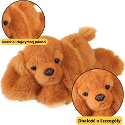 Chien en peluche Cocker Spaniel avec pattes lestées, marron, 30 cm