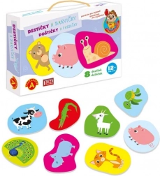 Alexander Découverte pour les tout-petits – plaquettes de couleurs