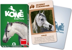 Quartet Chevaux DINO