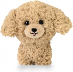 Peluche TEDDY PETS – caniche doré