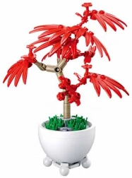 Sluban plante tropicale en pot – érable bonsaï rouge