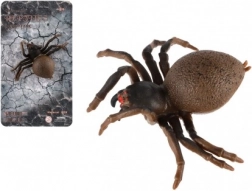 Araignée antistress en silicone 10 cm