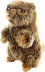 Marmotte en peluche avec son Eco-Friendly