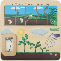 Planche éducative en bois Masterkidz – cycle de vie du haricot