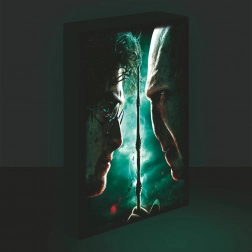 Tableau LED Lumineux 30x40, Harry Potter - Harry contre Voldemort