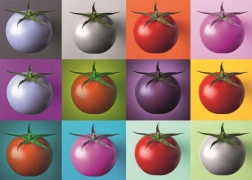 Puzzle Pop Art tomates 1000 pièces