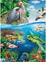 Puzzle familial Jour de la Terre 350 pièces COBBLE HILL