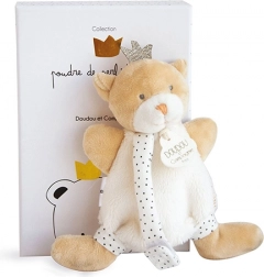 Coffret cadeau ours en peluche avec attache-tétine
