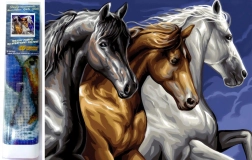 Peinture diamant Trio sauvage 30 × 40 cm