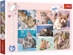 Puzzle Dans le monde des chats 100 pièces Trefl