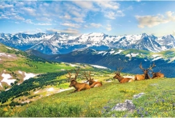 Puzzle cerfs dans les montagnes 1000 pièces EUROGRAPHICS
