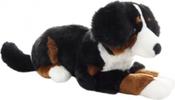Chien bouvier bernois en peluche 65 cm