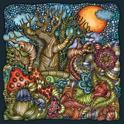 Puzzle carré CURIOSI Palapeli : Forêt merveilleuse, 210 pièces