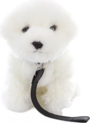 Chien maltais en peluche avec laisse 28 cm