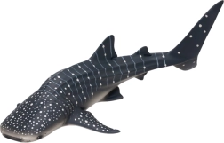 Modèle Requin pèlerin - figurine réaliste