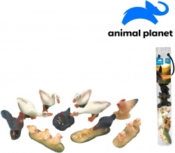 Animaux de la ferme avec application AR