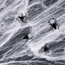 Toile d’araignée blanche d’Halloween avec araignées