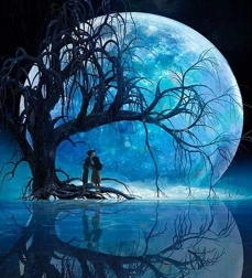 Peinture de diamant Lune sur le lac 30x40cm