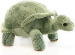 Tortue en peluche 20 cm