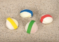 Coquille magique Goki