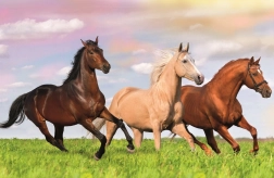 TREFL Puzzle Le monde des chevaux : Au galop à travers la prairie 54 pièces