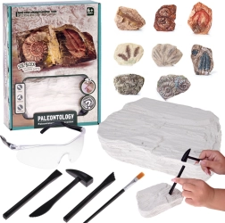 Kit archéologique de fouilles – surprise crâne fossilisé